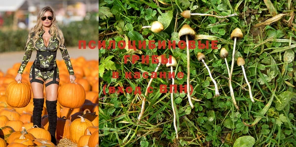 индика Семилуки