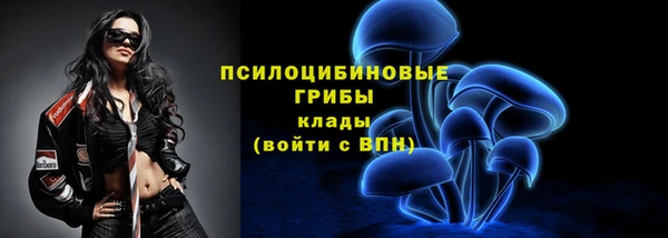 стафф Сатка