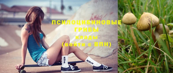ПСИЛОЦИБИНОВЫЕ ГРИБЫ Семикаракорск