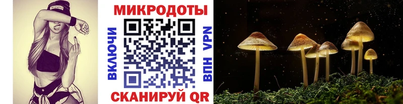 Купить закладки  Архангельск  Псилоцибиновые грибы прущие грибы 